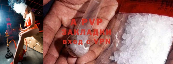 сатива Балахна
