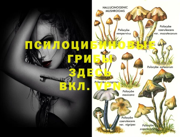 эйфоретик Белоозёрский