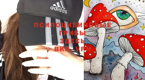 2c-b Алексеевка