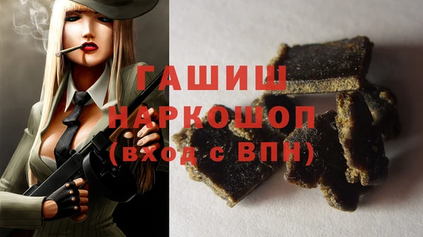мет Алексин