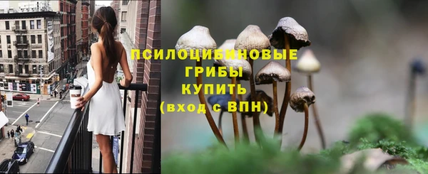 мет Алексин