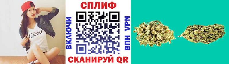 магазин    Борисоглебск  Канабис THC 21% 